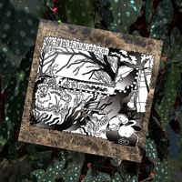 Image 1 of connected print