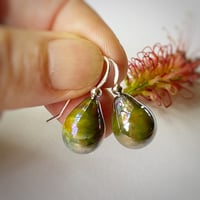 Image 1 of Lustre Earring Drops