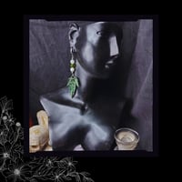 Image 2 of ☽ Acer Viridium ☾