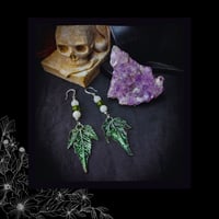 Image 3 of ☽ Acer Viridium ☾