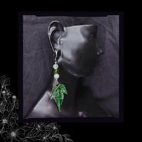 Image 4 of ☽ Acer Viridium ☾