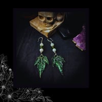 Image 5 of ☽ Acer Viridium ☾
