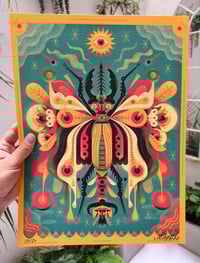 Image 2 of Weird Insect From the Garden