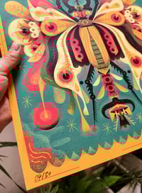 Image 5 of Weird Insect From the Garden