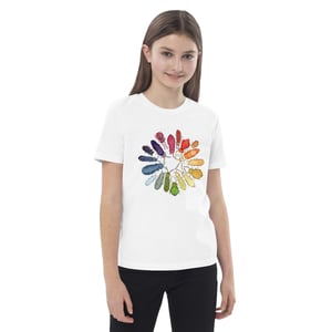 Collembola color wheel shirt kids