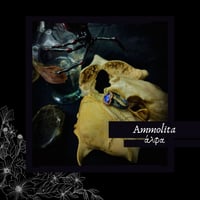 ☽ Ammolita ☾
