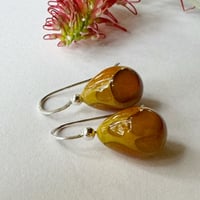 Image 1 of Mustard Drops - Discounted - read description