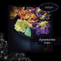 Image 1 of ☽ Aquamarina ☾