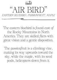 Image 3 of air bird