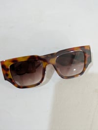 Image 1 of D G Tortoiseshell 