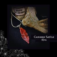 Image 1 of ☽ Castanea Sativa ☾