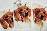 Image 1 of A4 print, different variants 