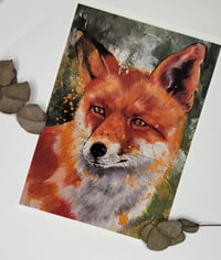 Image 4 of A4 print, different variants 