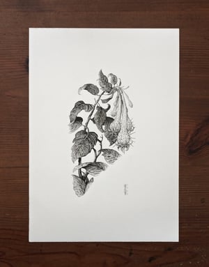 Fictional Flower 1 · Original Art