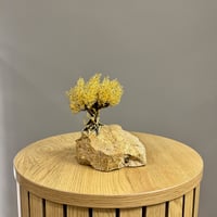 Image 1 of Tree MicroSculpture 24K Gold Plated 15x13x10cm