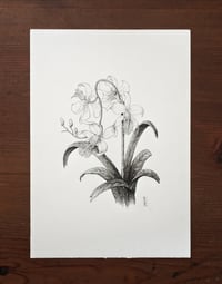 Image 1 of Fictional Flower 2 · Original Art