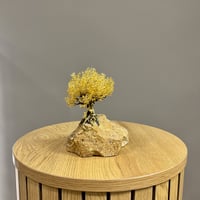 Image 2 of Tree MicroSculpture 24K Gold Plated 15x13x10cm