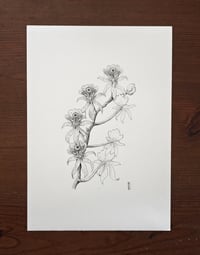 Image 1 of Fictional Flower 3 · Original Art