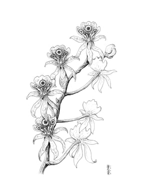 Fictional Flower 3 · Original Art
