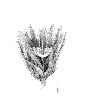 Fictional Flower 4 · Original Art