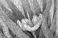 Image 3 of Fictional Flower 4 · Original Art