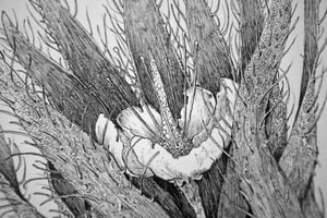 Fictional Flower 4 · Original Art