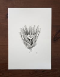 Image 1 of Fictional Flower 4 · Original Art