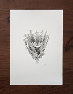 Fictional Flower 4 · Original Art