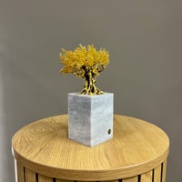 Image 2 of Tree MicroSculpture 24K Gold Plated 20x12x7cm