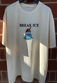 Image 1 of Break ICE Not Families – Embroidered Activist T-Shirt Supporting Immigrant Rights