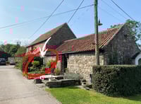 Image 4 of Gelliprinting with Seaweed at Clevedon Craft Centre on 19/07/25