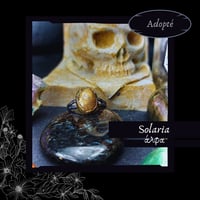 Image 2 of ☽ Solaria ☾