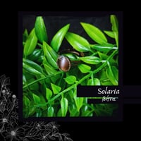 Image 1 of ☽ Solaria ☾