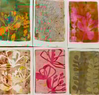 Image 3 of Botanical Gelliprinting at Clevedon Craft Centre on 13/09/25
