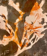 Image 1 of Gelliprinting with Seaweed at Clevedon Craft Centre on 19/07/25