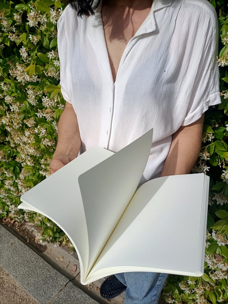 Image of Rosa en Suspensión