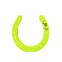 Image 3 of dayglo horse