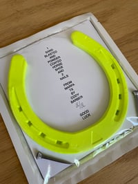 Image 4 of dayglo horse