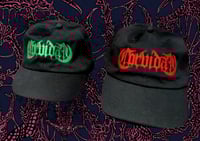 CORVIDAE BATTLE-METAL HAT