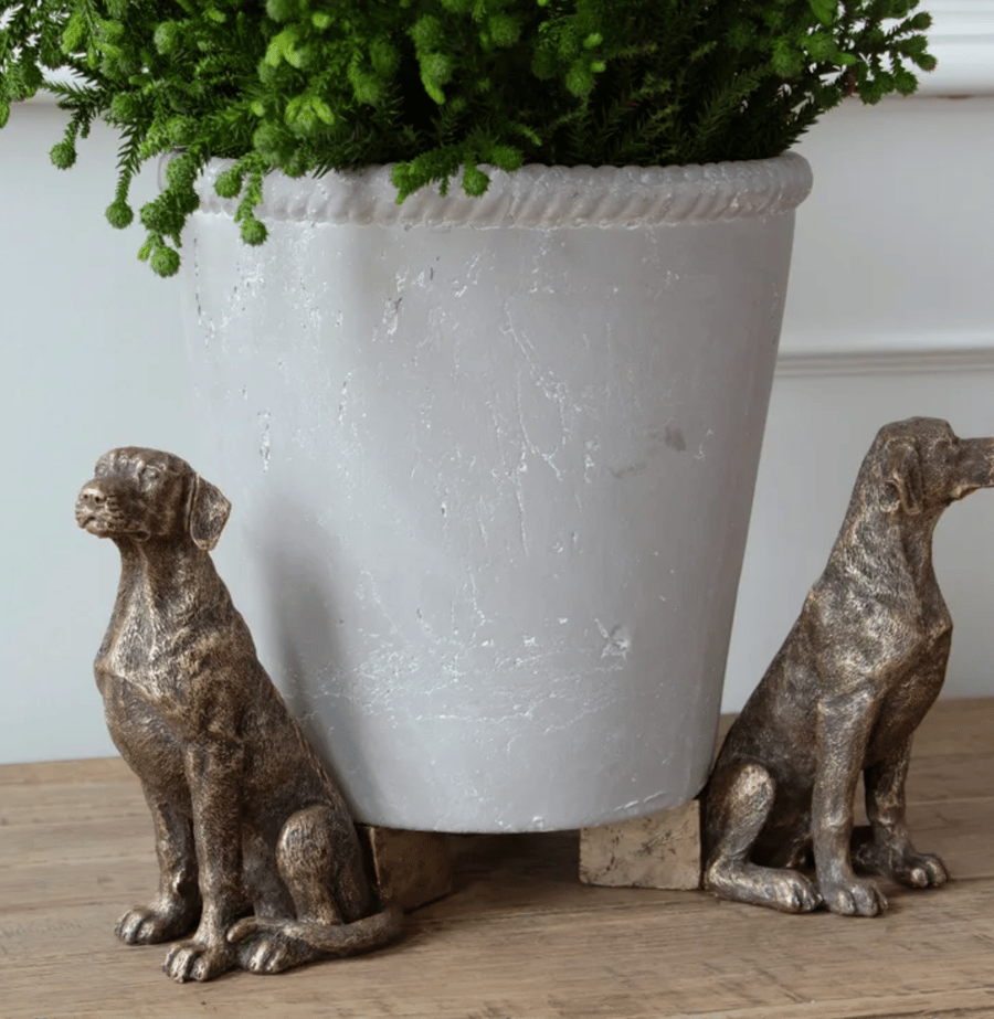 Image of Handsome Hound Pot Feet