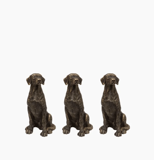 Image of Handsome Hound Pot Feet