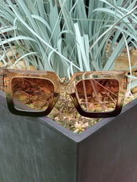 Image 1 of Champagne & Black Gradient Sunglasses 