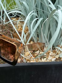Image 2 of Champagne & Black Gradient Sunglasses 