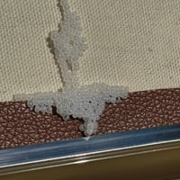 Image 3 of I'm Trying to Clean Here!