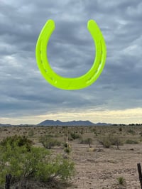 Image 2 of dayglo horse