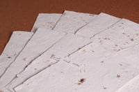 Image 4 of Damien's Handmade Paper!