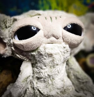 Furrae! Mossy Collection!