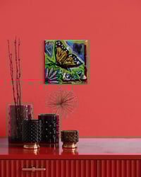 Image 1 of “Proof That Change Can Be Beautiful”