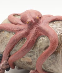 Image 11 of Pacific Coast Pitcher