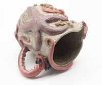 Image 7 of Pacific Coast Pitcher